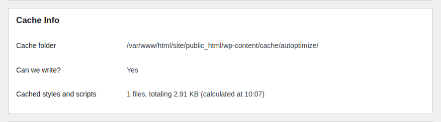 Autoptimize Cache Info panel showing cache and status details