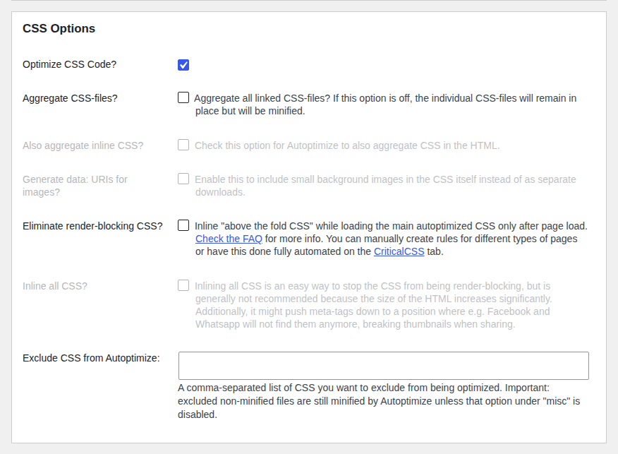 Autoptimize CSS Options panel with CSS optimization and delivery controls