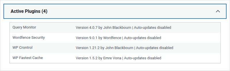WordPress Site Health Info Active Plugins section showing the site's active plugins