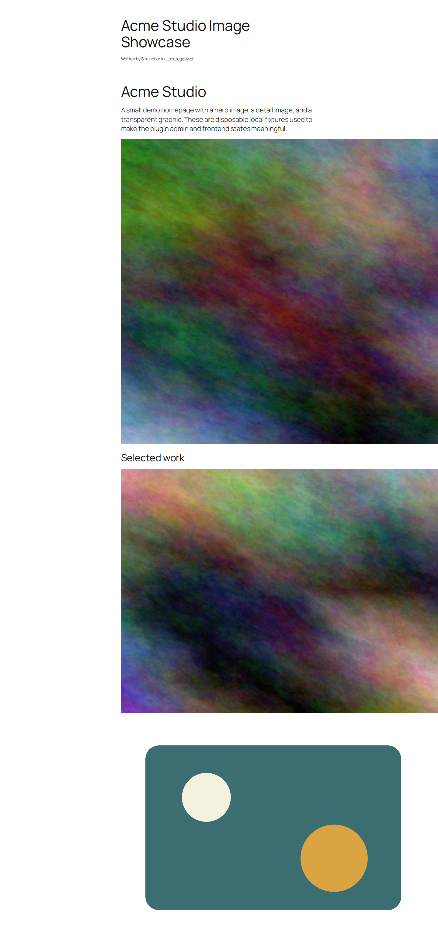 Frontend showcase demonstrating responsive WordPress image output