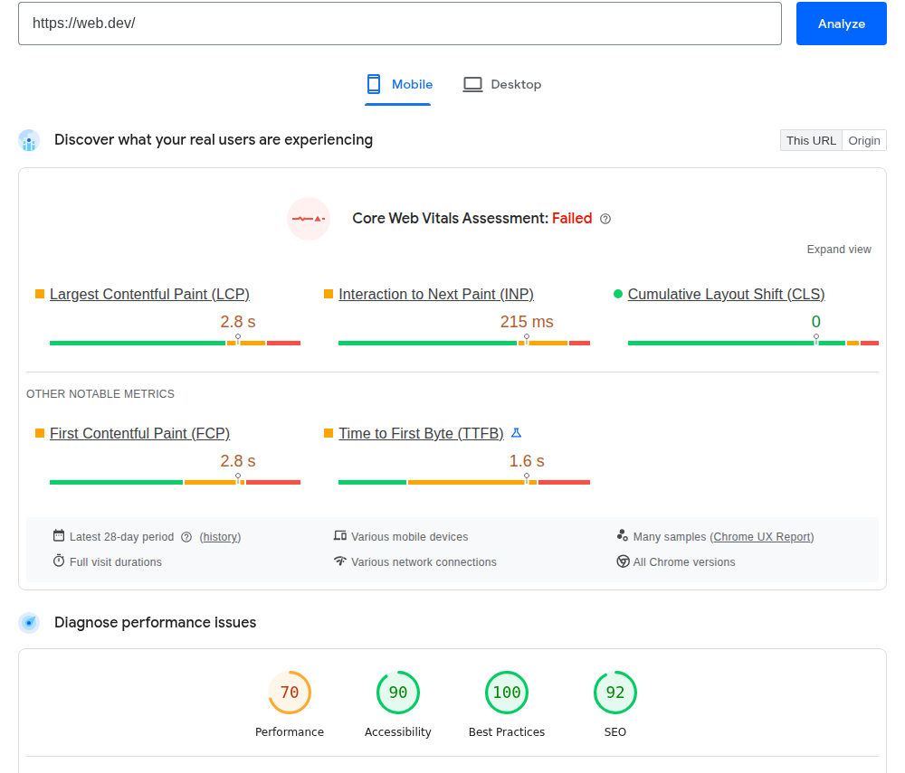 PageSpeed Insights results summary for checking website performance