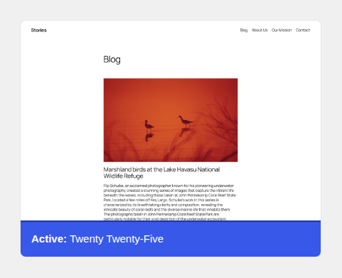 Active WordPress theme card for theme audit context