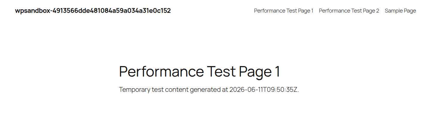 Frontend WordPress page used to verify changes after optimization