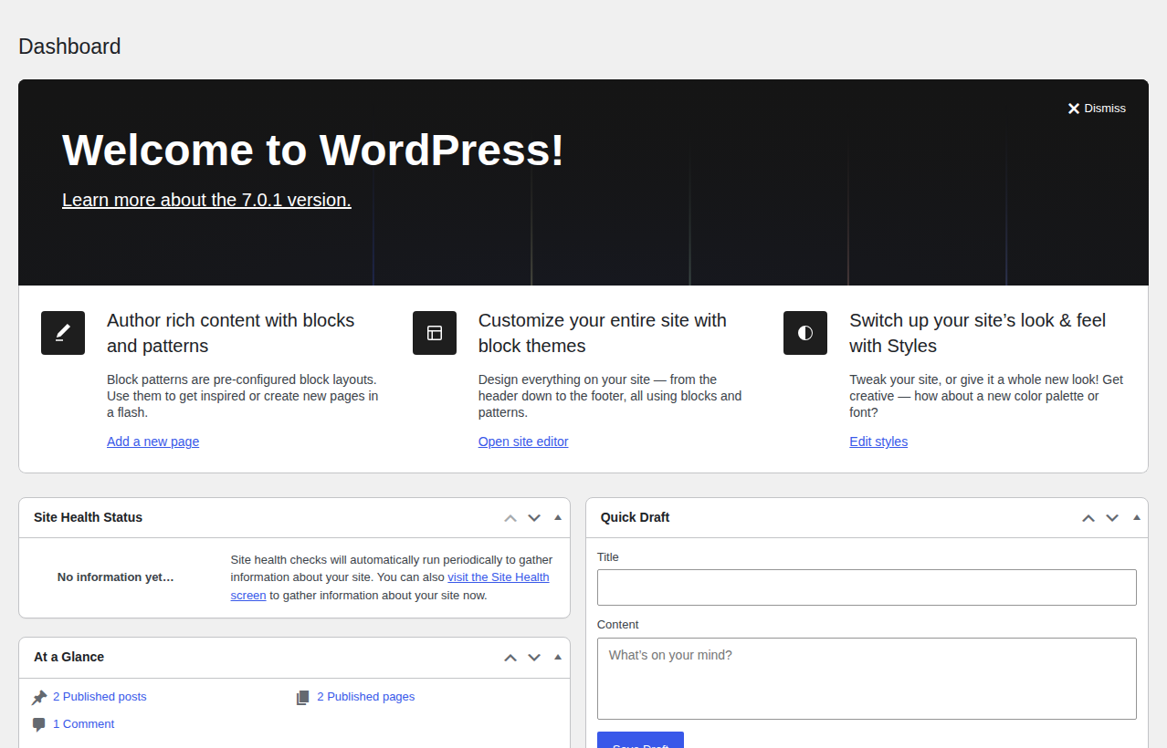 WordPress dashboard showing baseline site state for an audit inventory