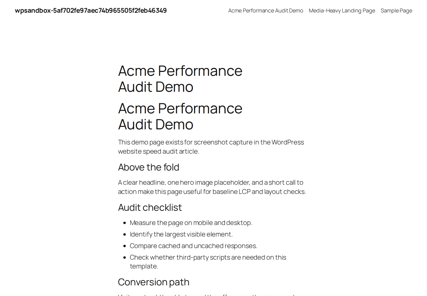 Frontend WordPress page used as a speed audit baseline