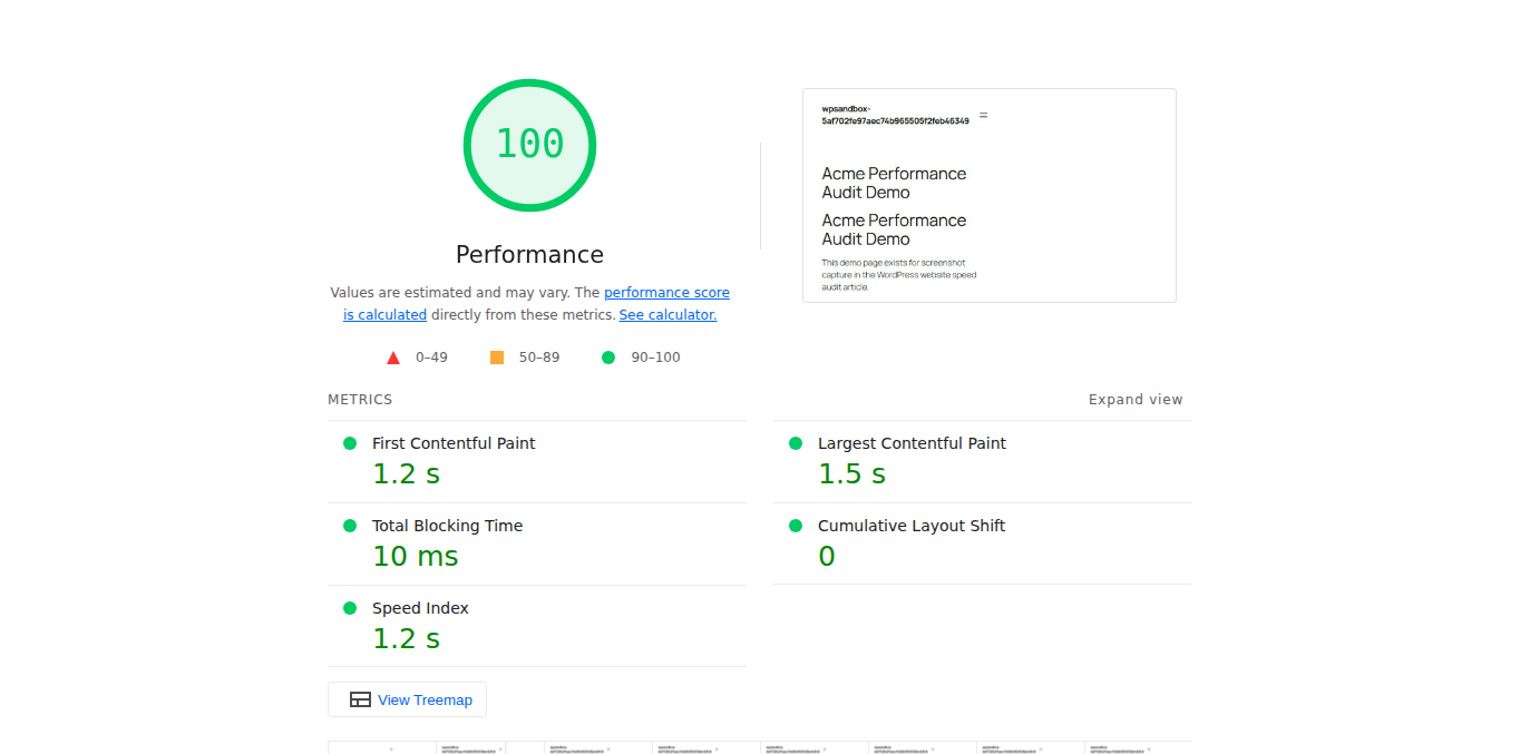 Lighthouse metrics summary for a tested WordPress URL
