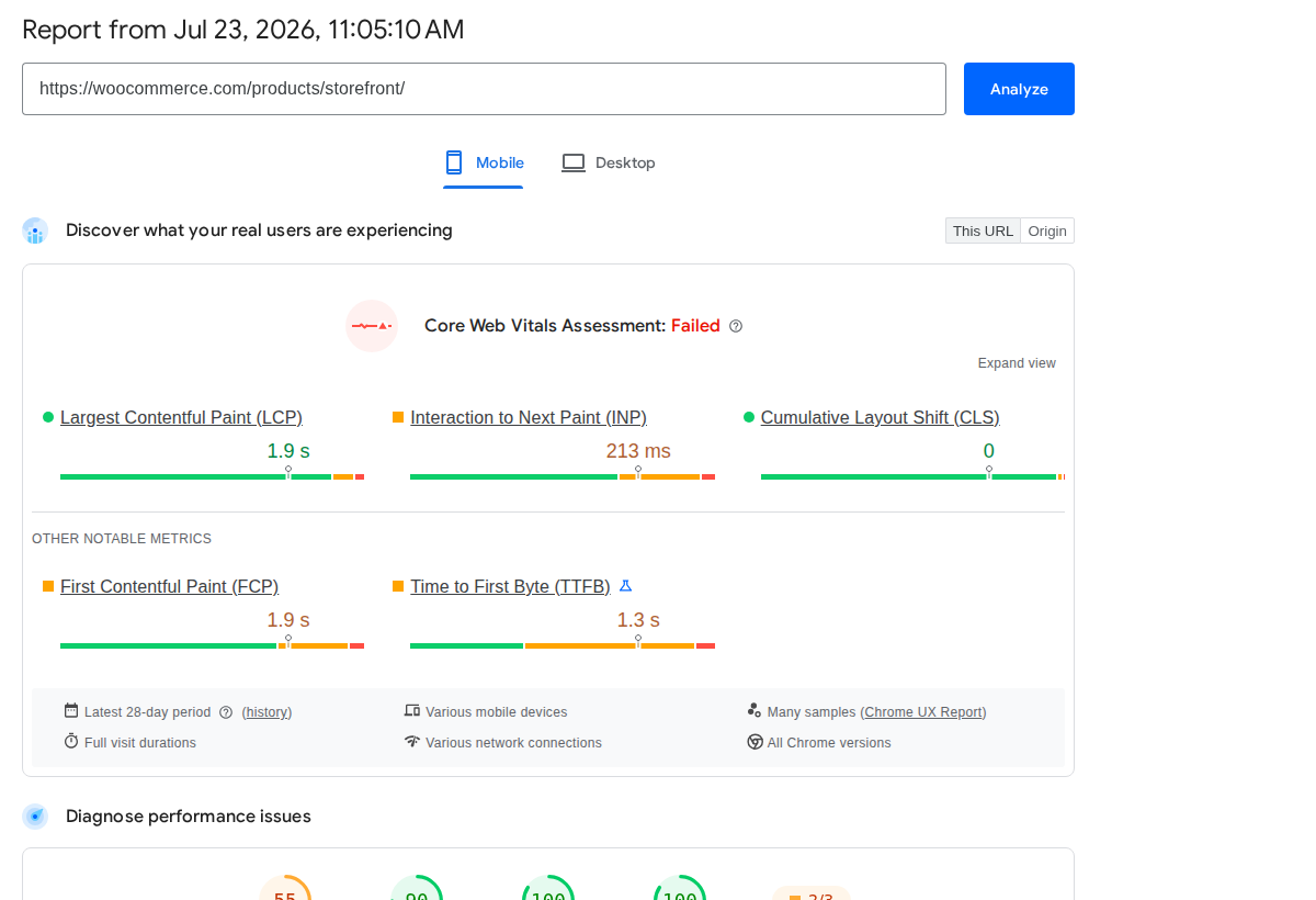 PageSpeed Insights result for a product page URL
