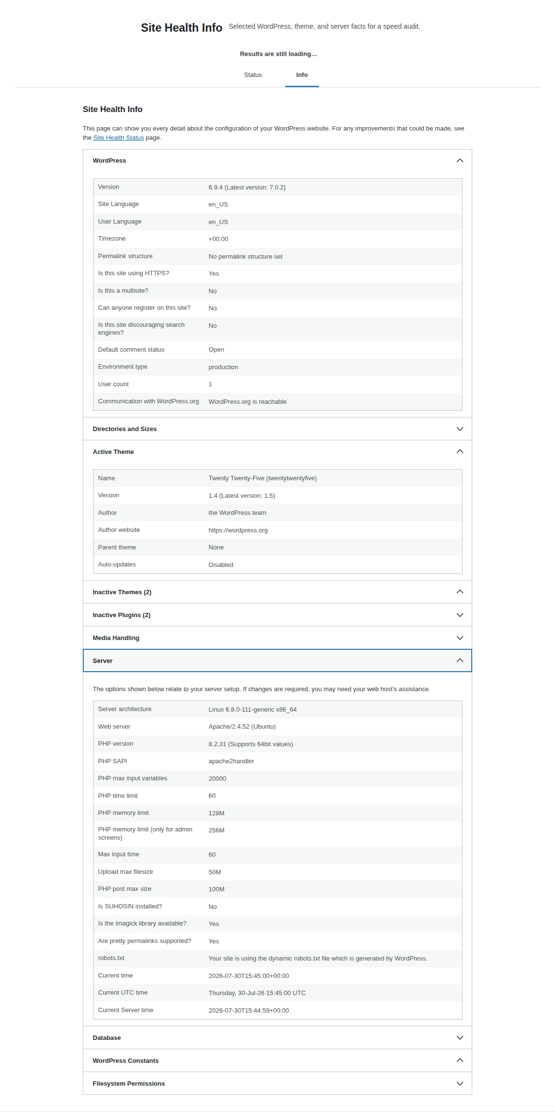 WordPress Site Health environment details used in a speed audit