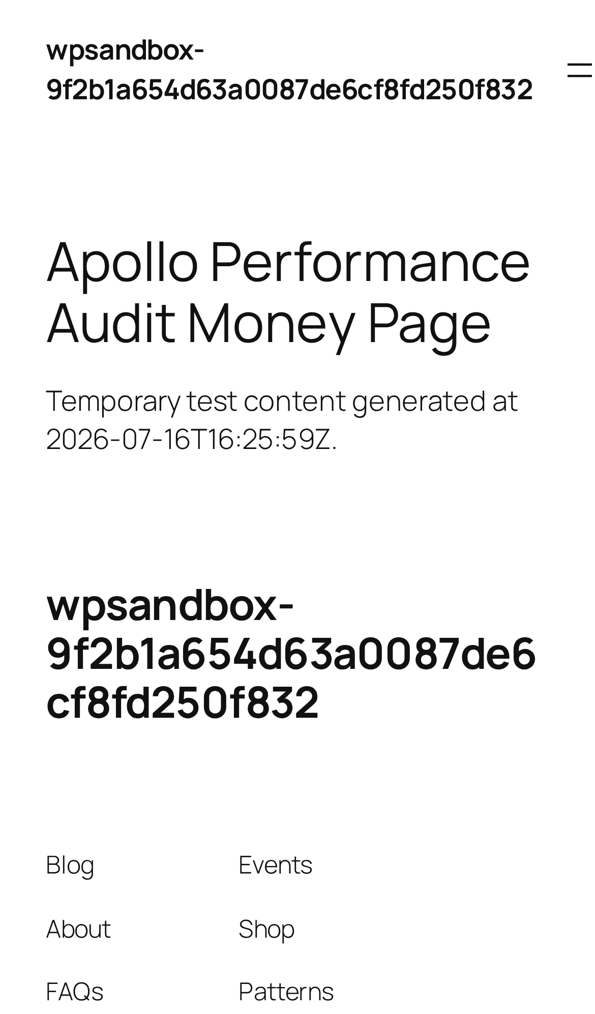 Mobile view of a WordPress page used for real visitor performance testing