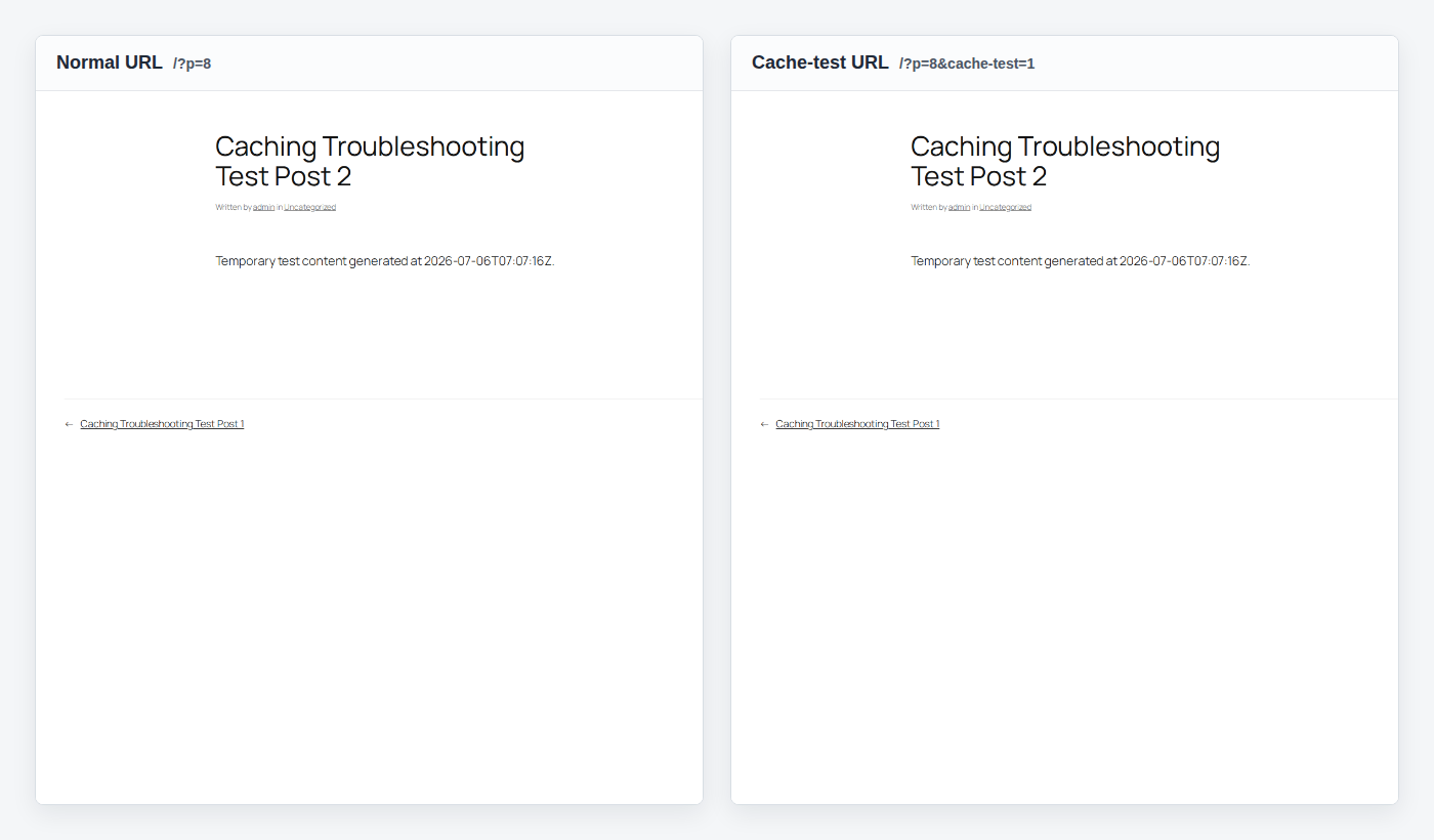 Normal visitor URL compared with a cache-test query URL