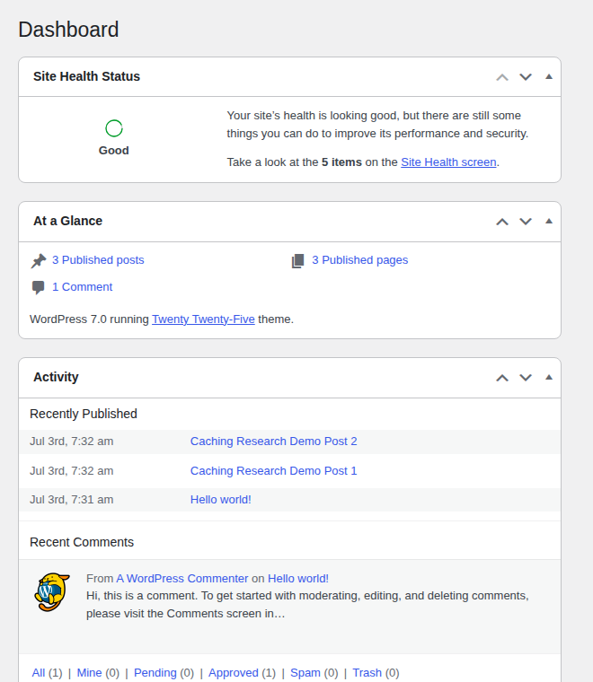 WordPress dashboard overview for pre-cache checks