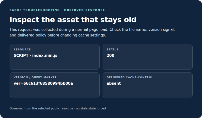 Versioned asset response to inspect when styles or scripts are stale